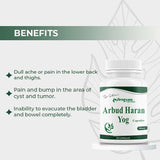 Arbud Haran Yog Capsules, 60 Capsules