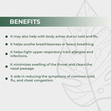 Arogyam U.R.T. Tablets for Allergies, 60 Tablets x2 Units