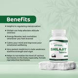 Shilajit Tablets by Arogyam, 60 Tablets