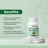 Punarnava Mandur Tablets by Arogyam, 60 Tablets