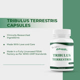 Tribulus Terrestris Capsules, 60 Capsules