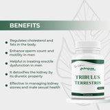 Tribulus Terrestris Capsules, 60 Capsules