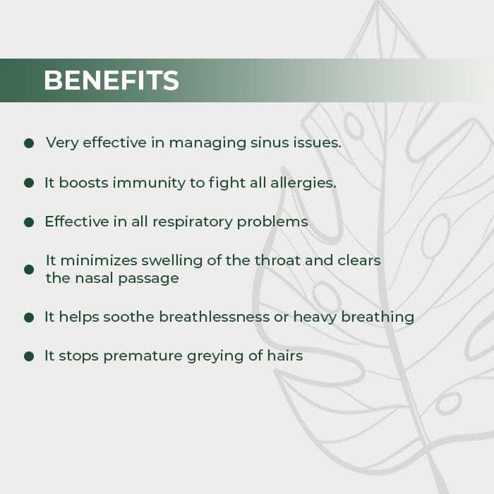 Arogyam Sinus Care Combo Pack (Allergic Rhinitis)