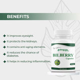 Bilberry Capsules by Arogyam, 60 Capsules