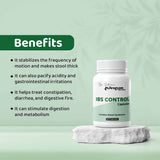 Wheatgrass Capsules by Arogyam, 30 Capsules