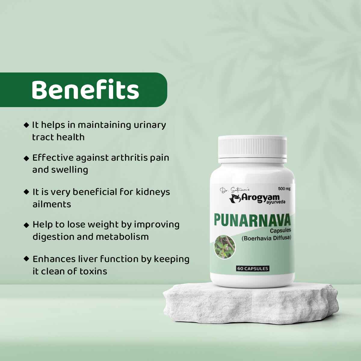 Punarnava Capsules by Arogyam, 60 Capsules