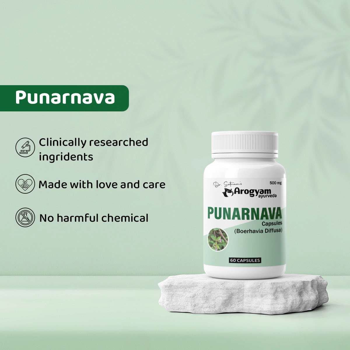 Punarnava Capsules by Arogyam, 60 Capsules