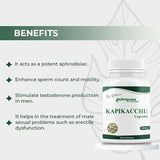 Kapikachhu Capsules by Arogyam, 60 Capsules